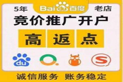 SEM代运营成功案例：打造行业领先品牌